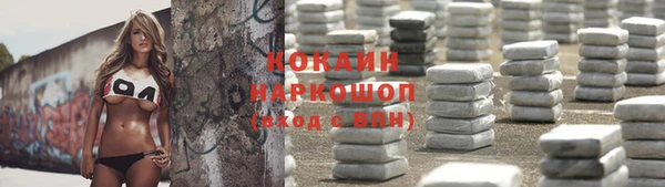 крисы Аркадак