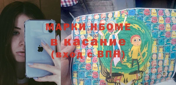 хмурый Арсеньев