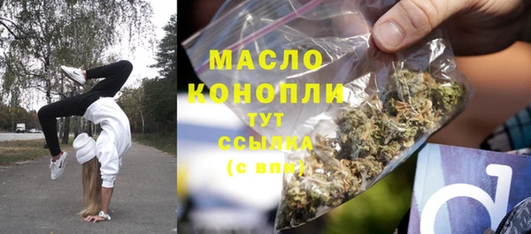 хмурый Арсеньев