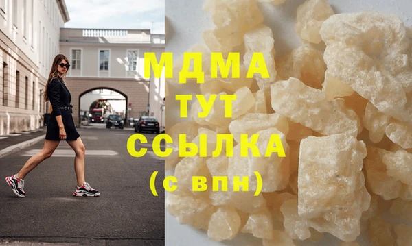 индика Алексин
