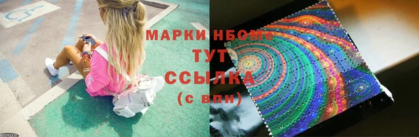 крисы Аркадак