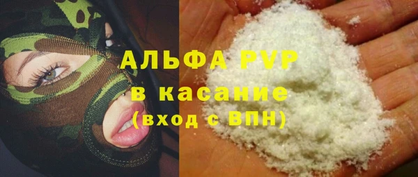 хмурый Арсеньев
