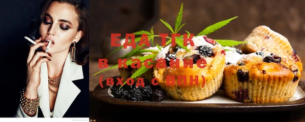 хмурый Арсеньев