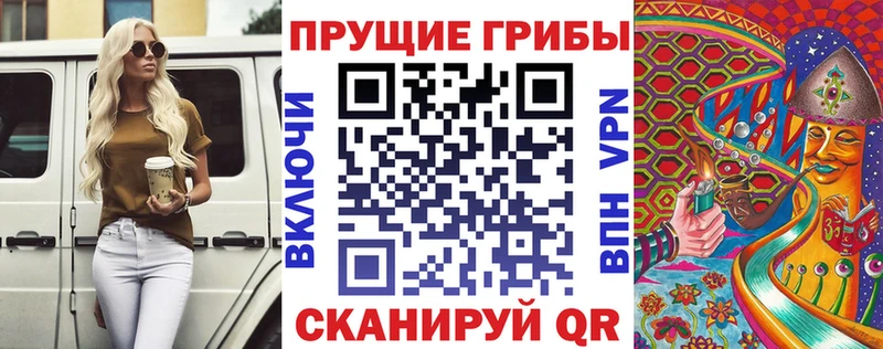 Галлюциногенные грибы Psilocybe  Бакал 