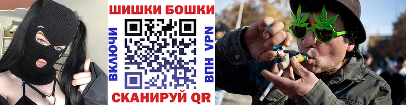 Бошки марихуана Amnesia  как найти наркотики  Бакал 